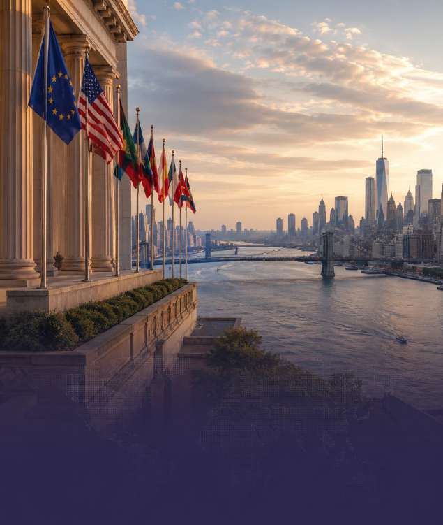 international public affairs